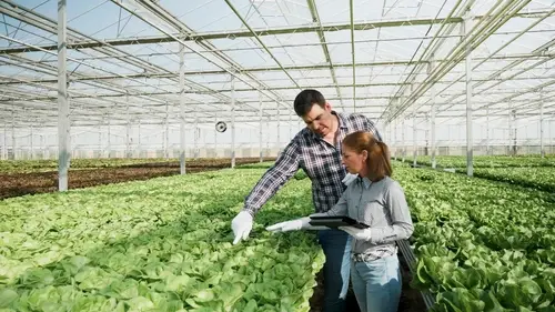 Control de calidad de alimentos: aprende cómo hacerlo