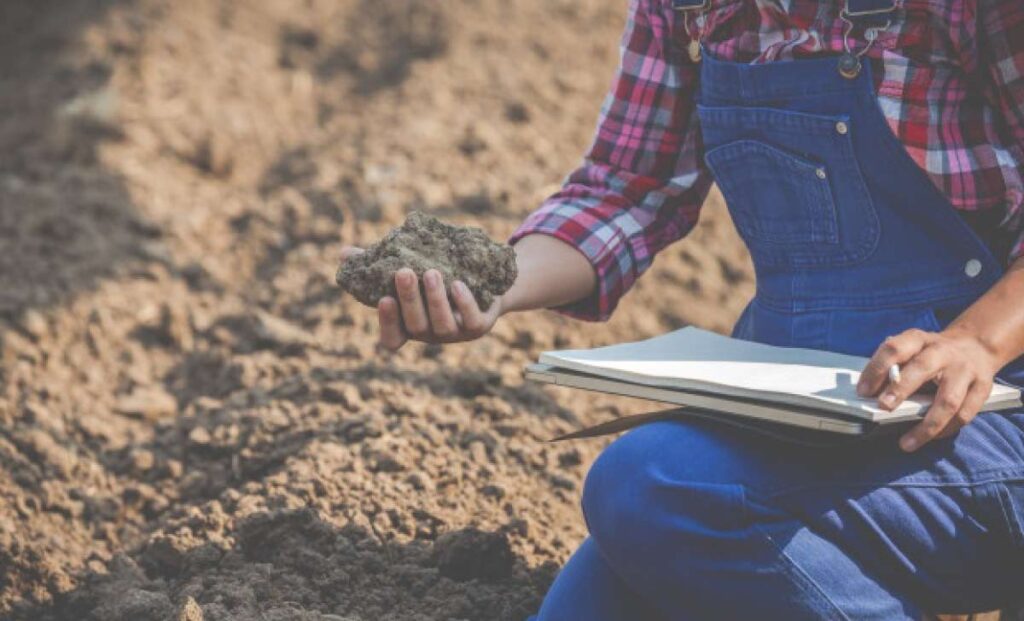 Mujer evaluando un suelo de plantación con el cuaderno de campo