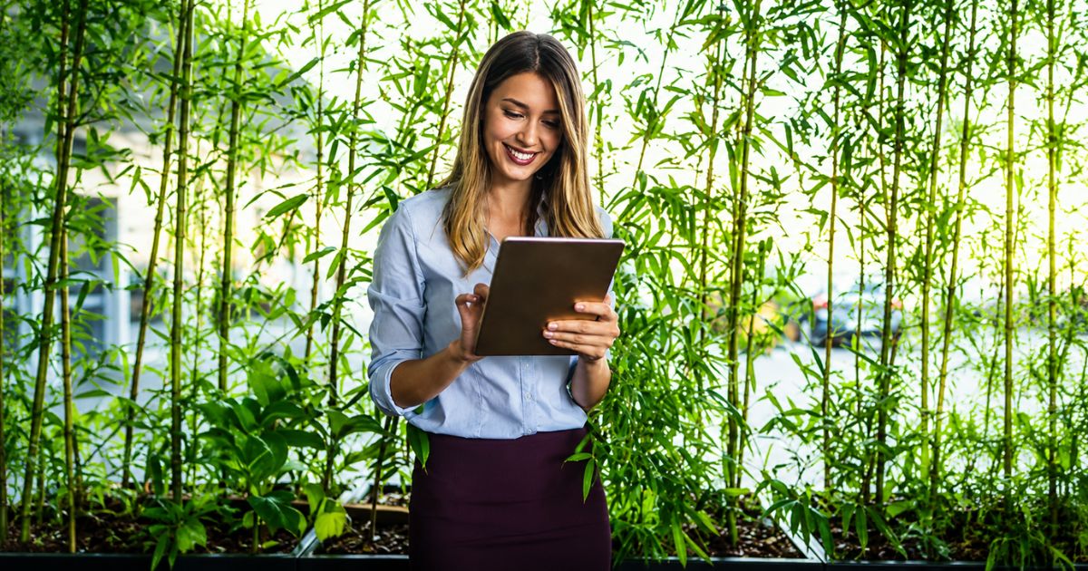 ISO 14000: qué es y cómo aplicar el Sistema de Gestión Ambiental